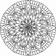 Intricate Floral Mandala Design coloring page