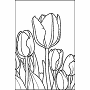 A black and white line drawing of several tulips with their stems, leaves, and petals outlined clearly against a plain background. icon