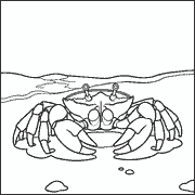 A black and white line drawing of a crab on the shore with waves behind it, including its claws raised as if ready to move or defend itself. icon