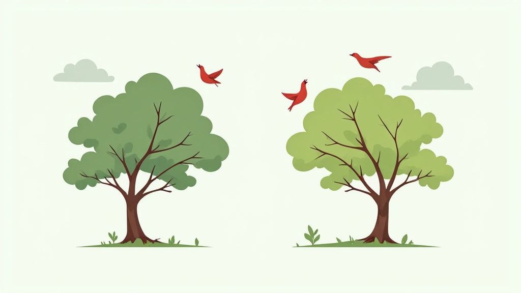 Find the Differences Puzzles