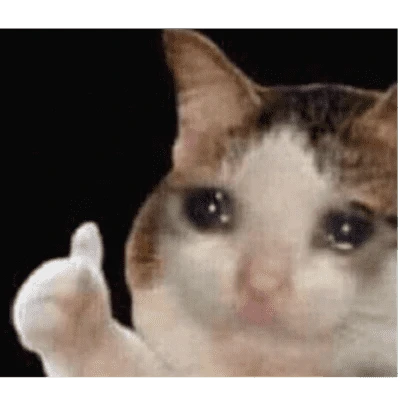 Memes 10