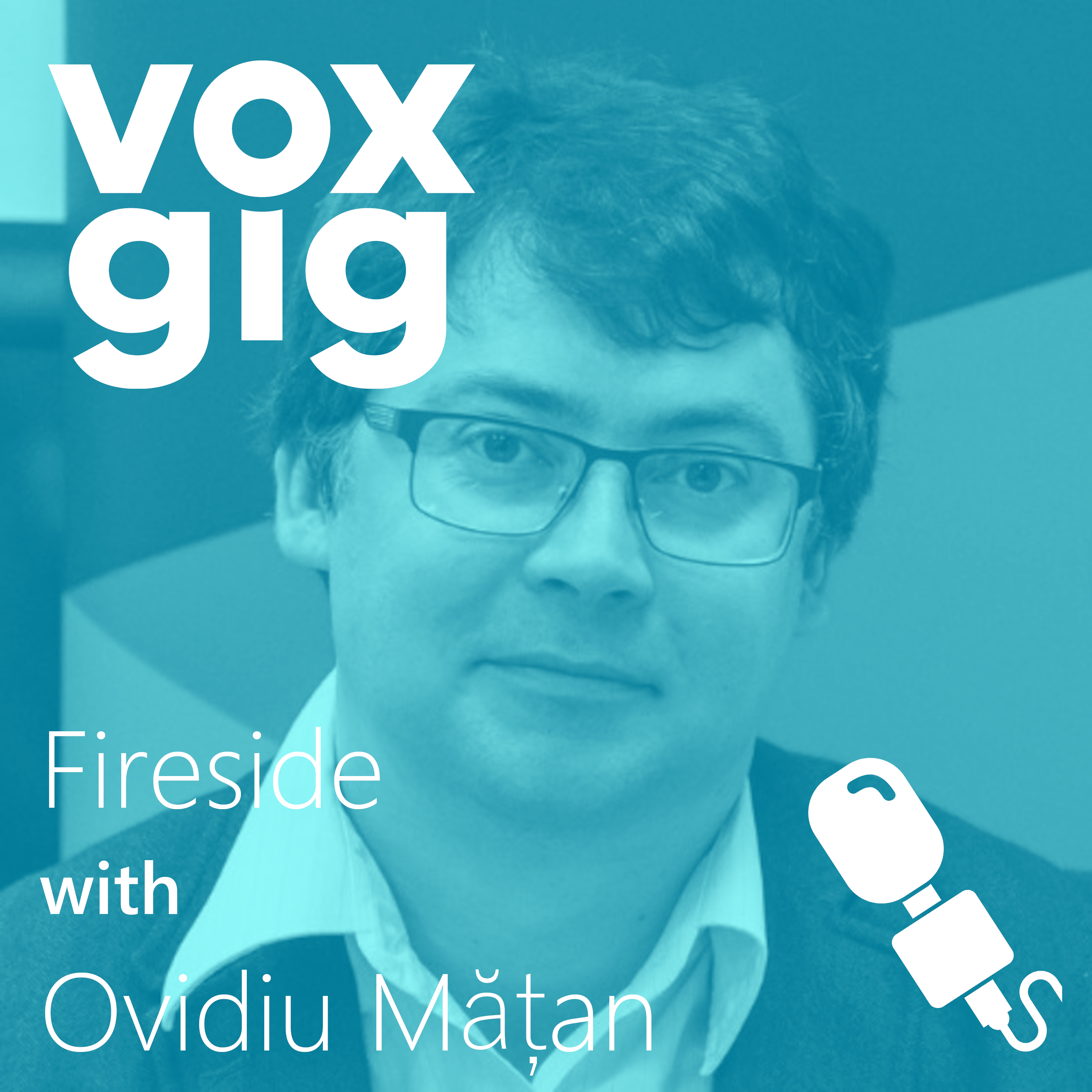 Fireside with Voxgig with Ovidiu Matan