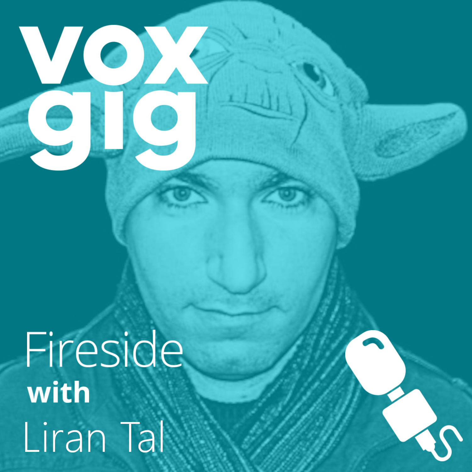 Fireside with Voxgig