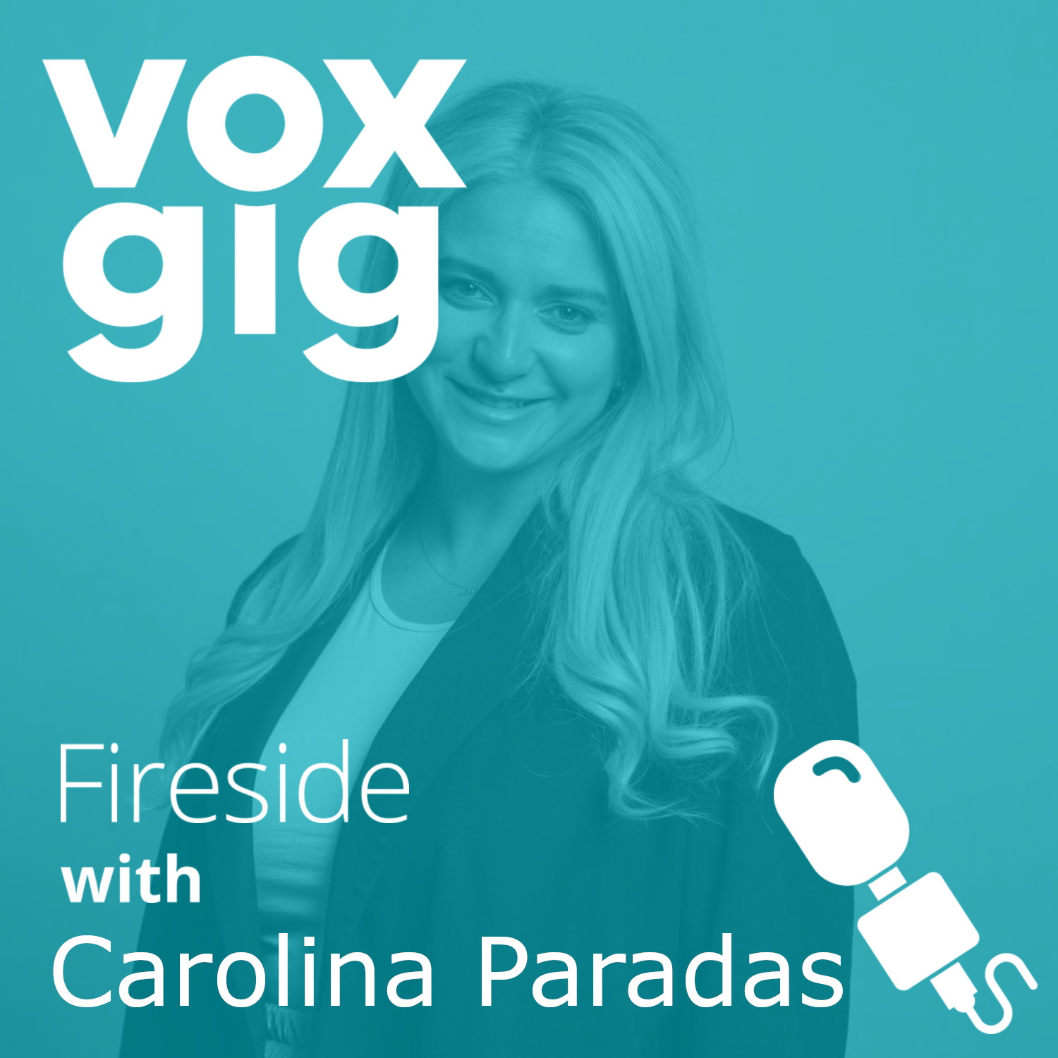Fireside with Voxgig