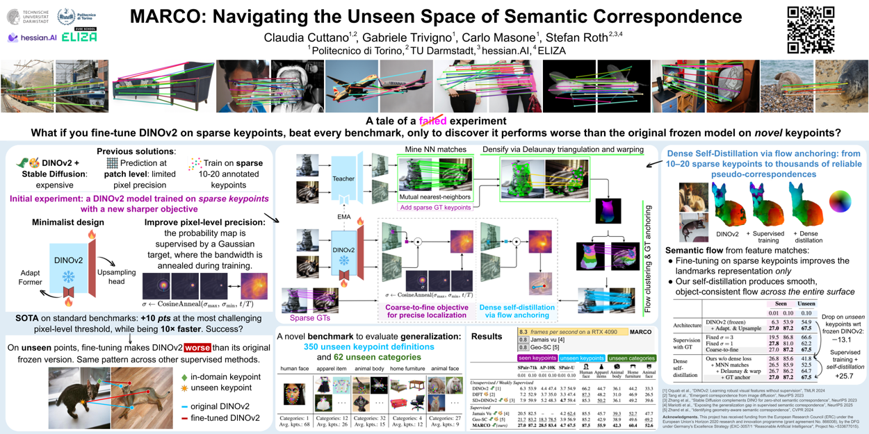 MARCO: Navigating the Unseen Space of Semantic Correspondence