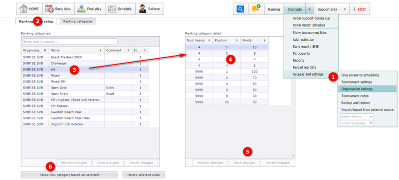 Ranking scale setup tab with the scale grid and detail grid