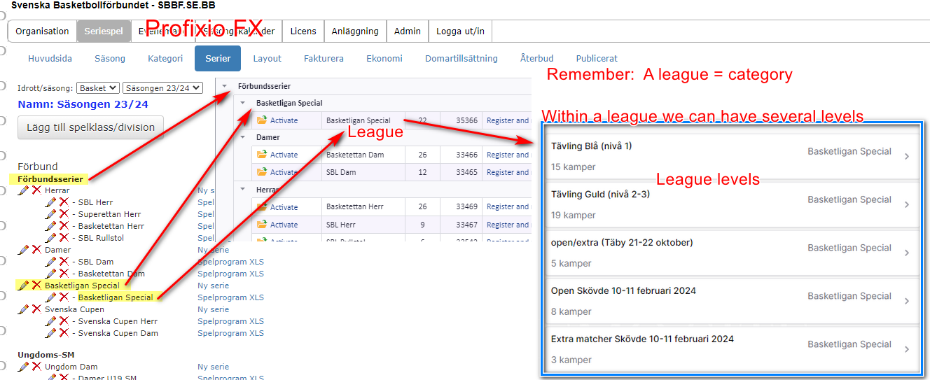 Division, leagues and league levels