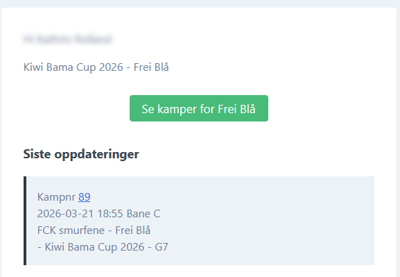Example of the automatic e-mail sent to team leaders when a match changes
