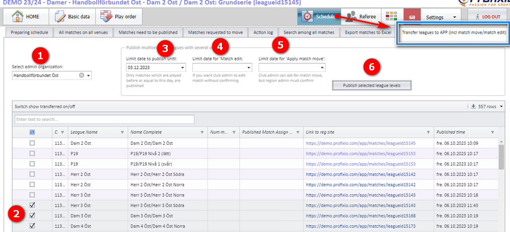 Publish several league levels window with the numbered areas