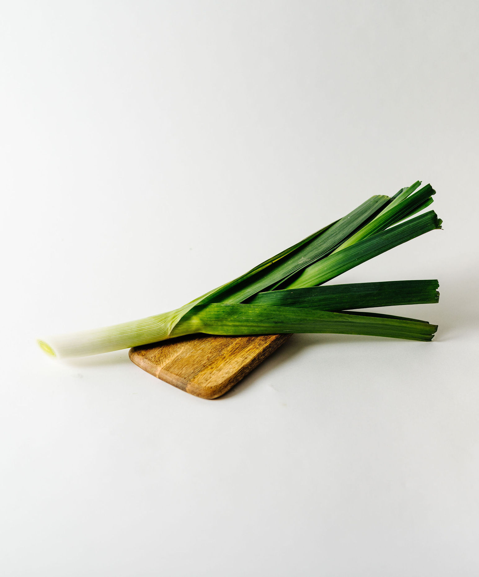 Leek