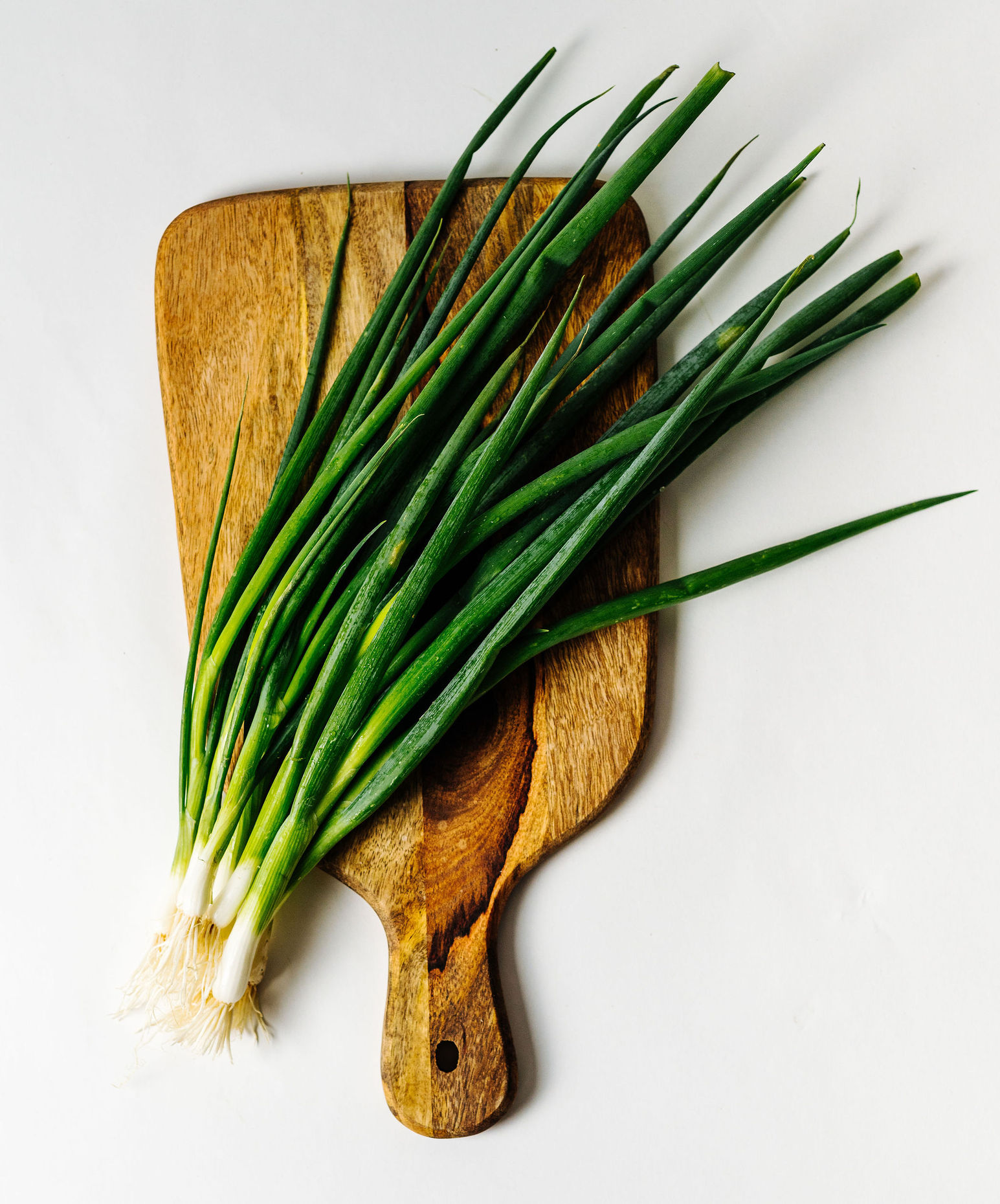 Spring Onion 