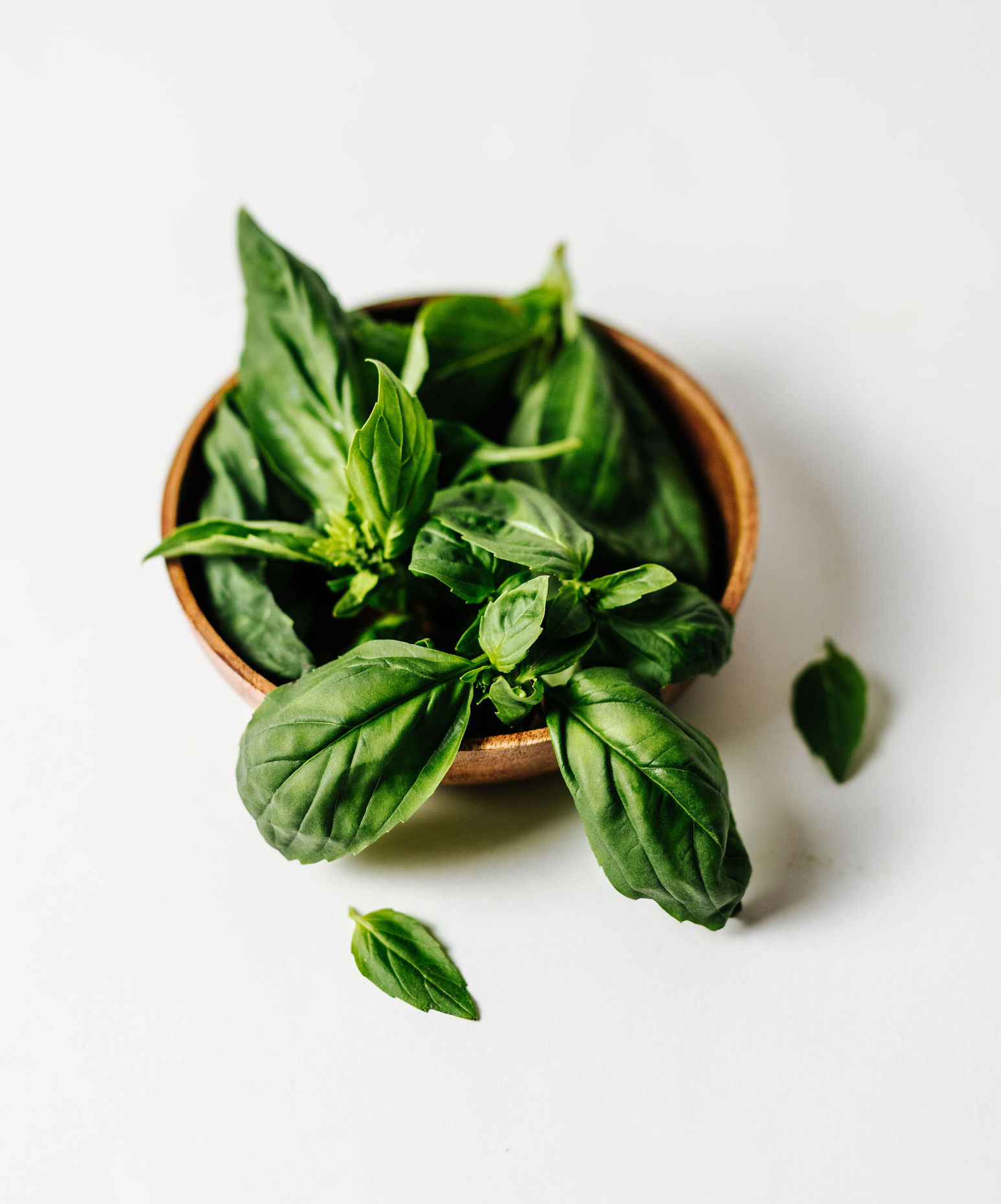 Fresh Basil 