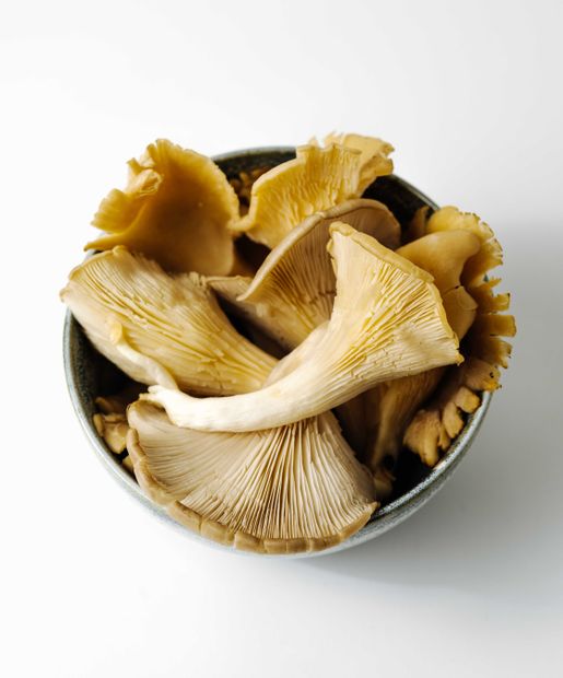 Oyster Mushrooms