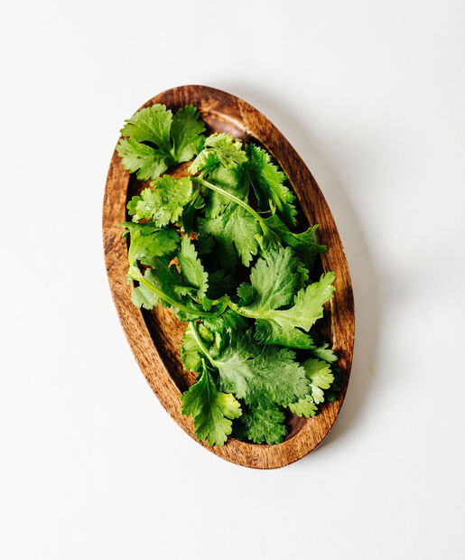 Fresh Coriander 