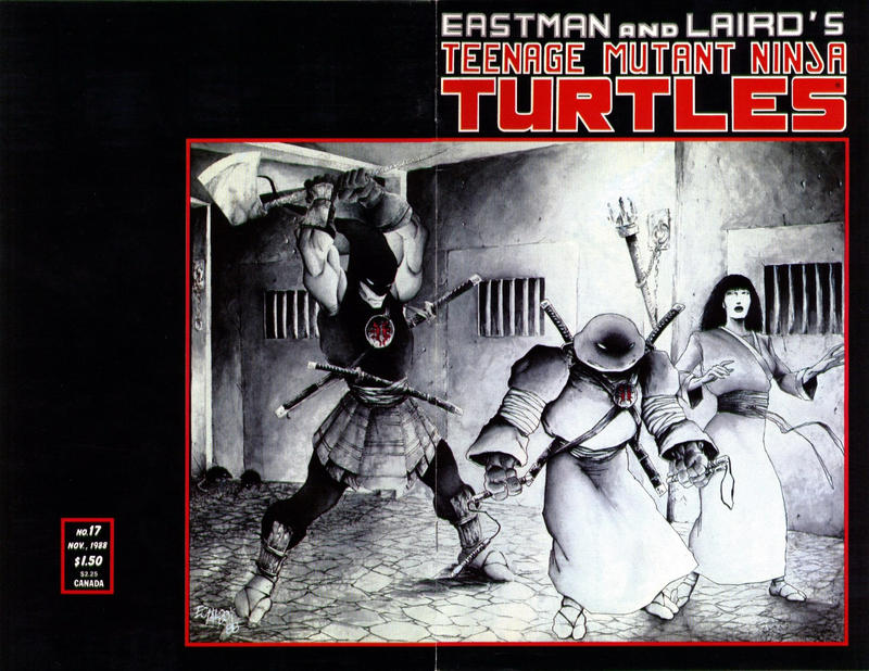 TMNT #17 1st Print cover