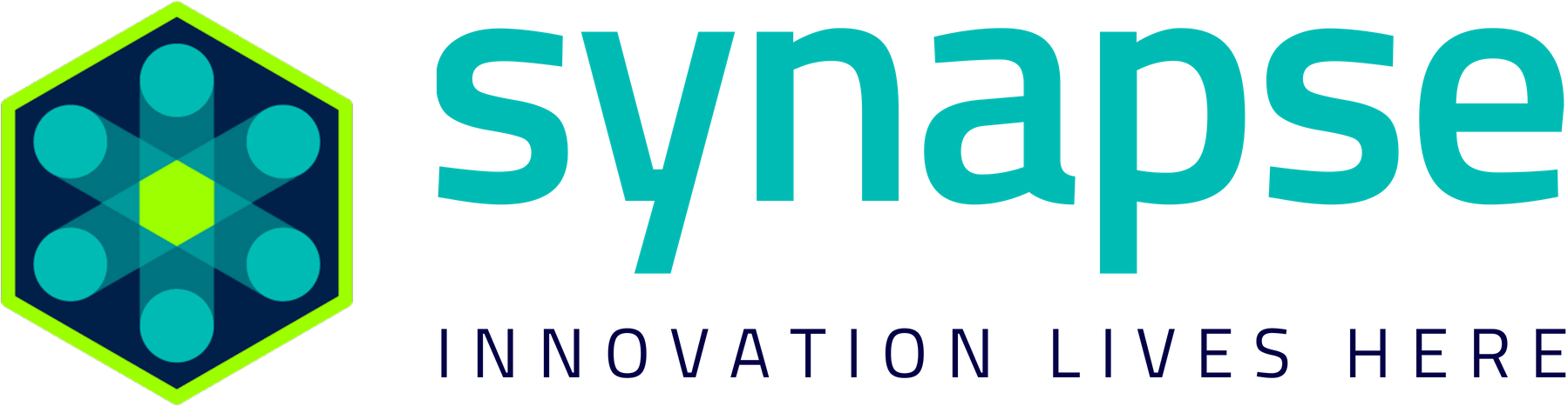 Maya at Synapse Summit