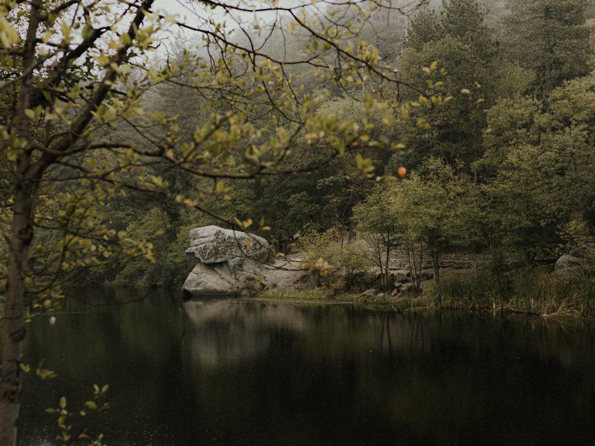 Idyllwild
