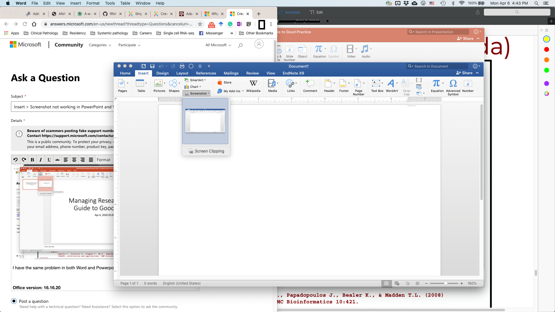 Microsoft Word screenshot