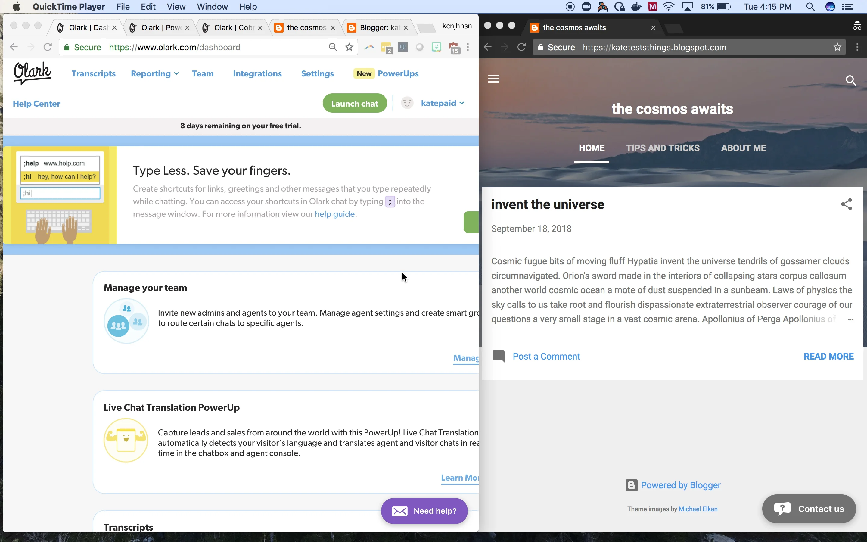 Visitor Insights screenshot