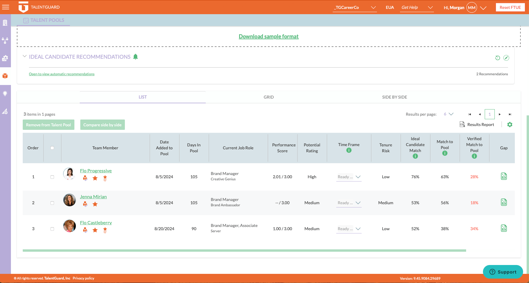 TalentGuard Talent Frameworks screenshot