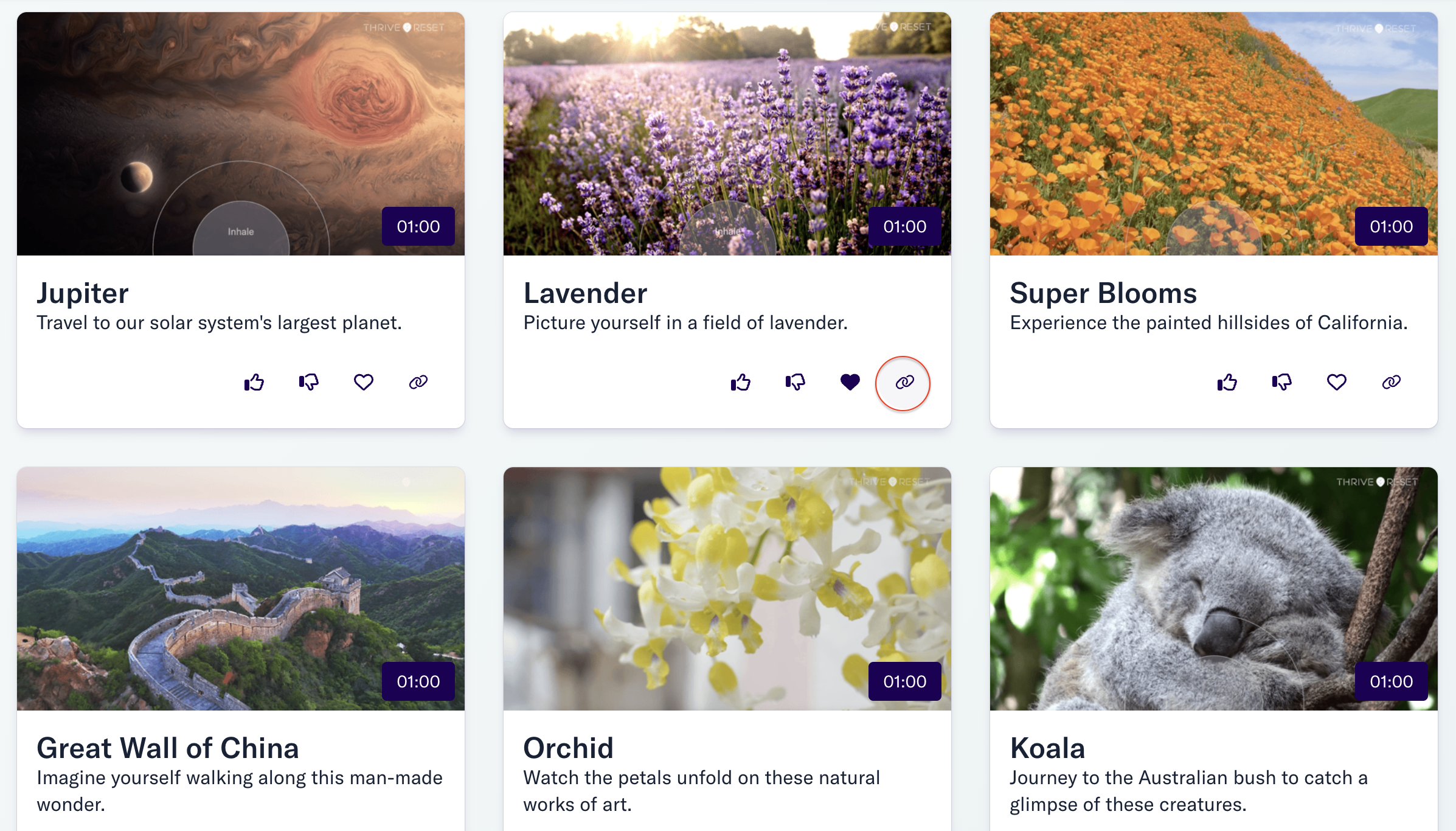 Thrive Global screenshot