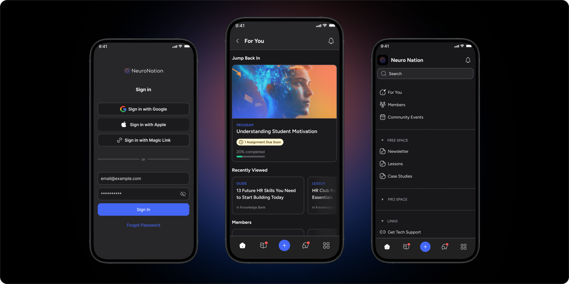 DISCO Case Builder screenshot