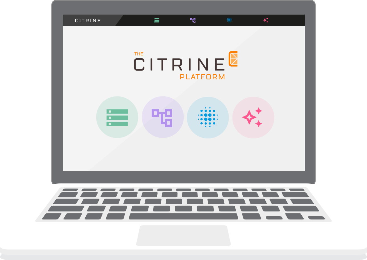 Citrine Professional Services screenshot