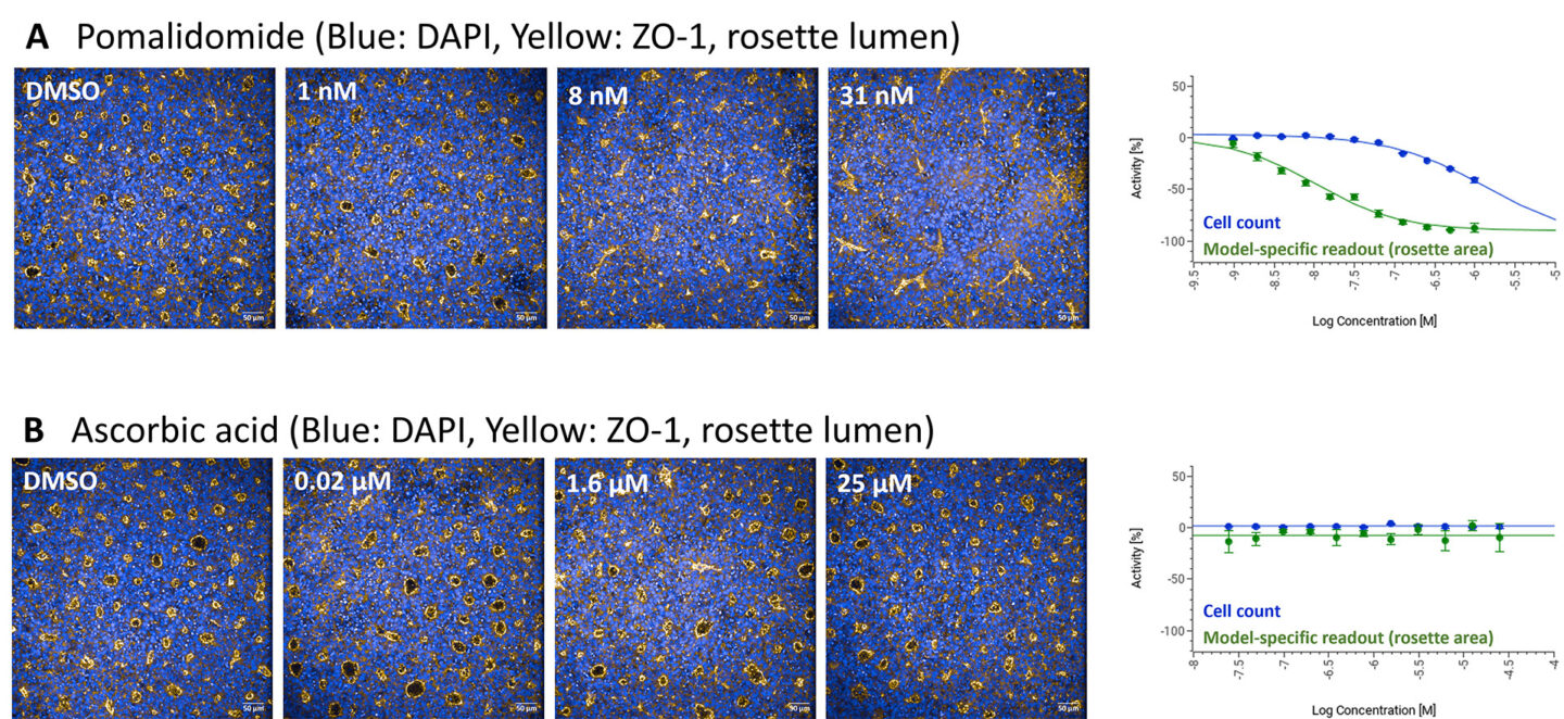 iPSC-based disease modeling screenshot