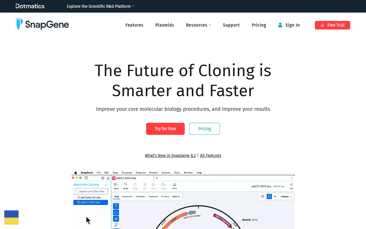 SnapGene screenshot