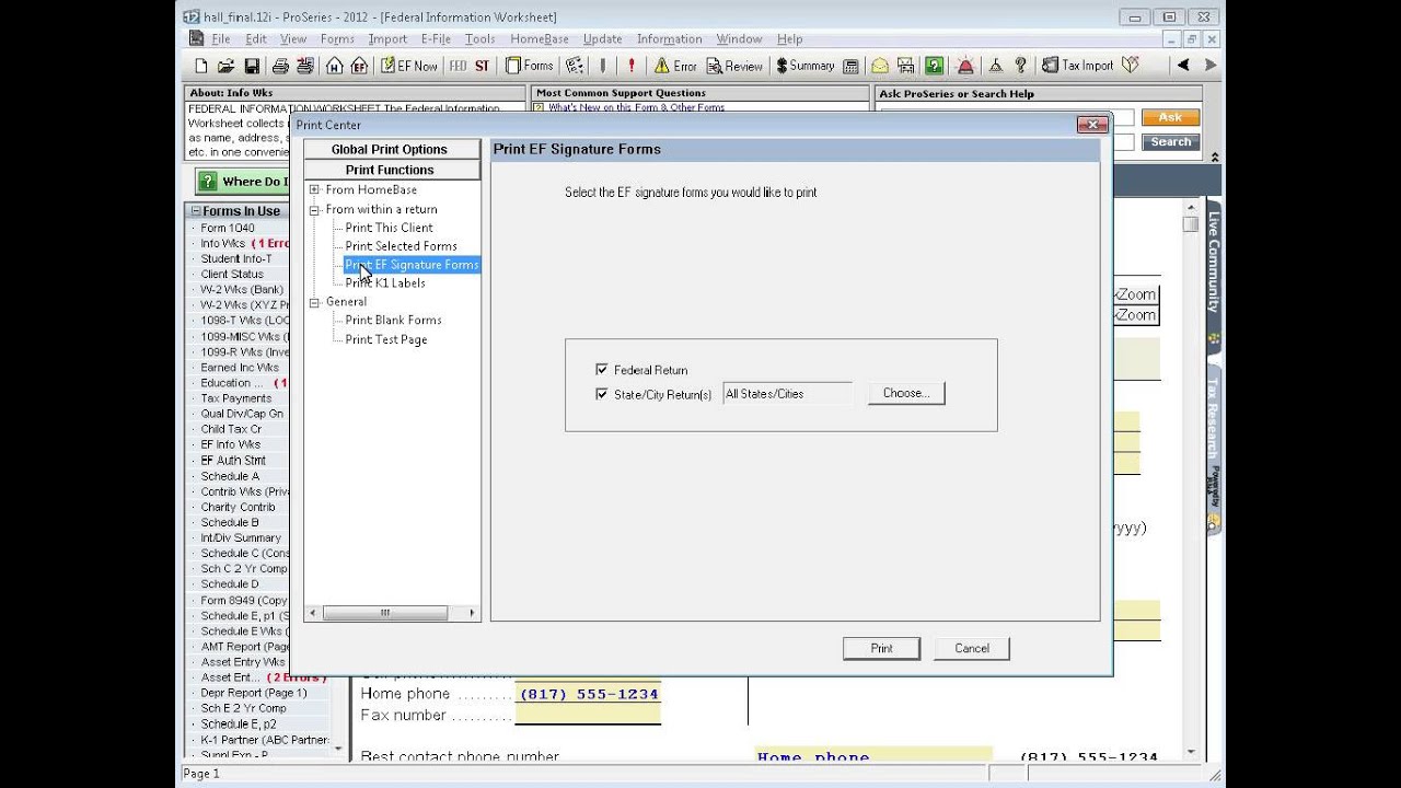ProSeries screenshot
