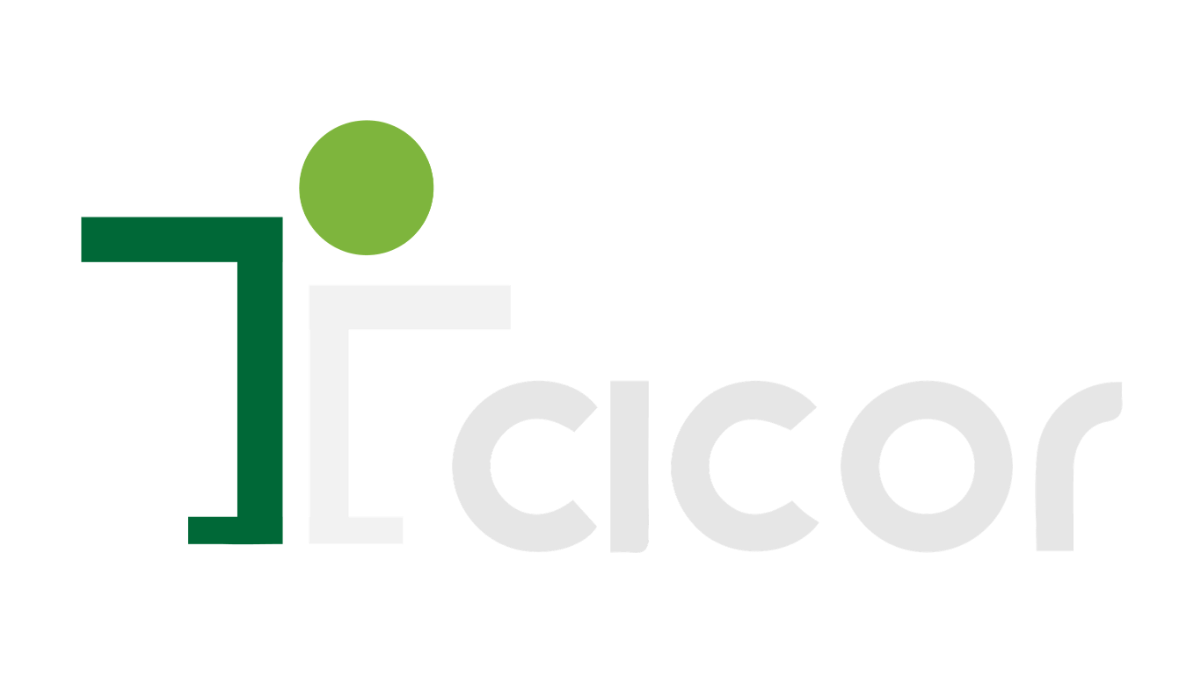 Cicor Factoring — Duplinet: Modernization and Automation in Factoring