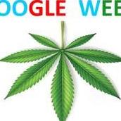 Google Weed  Delivery