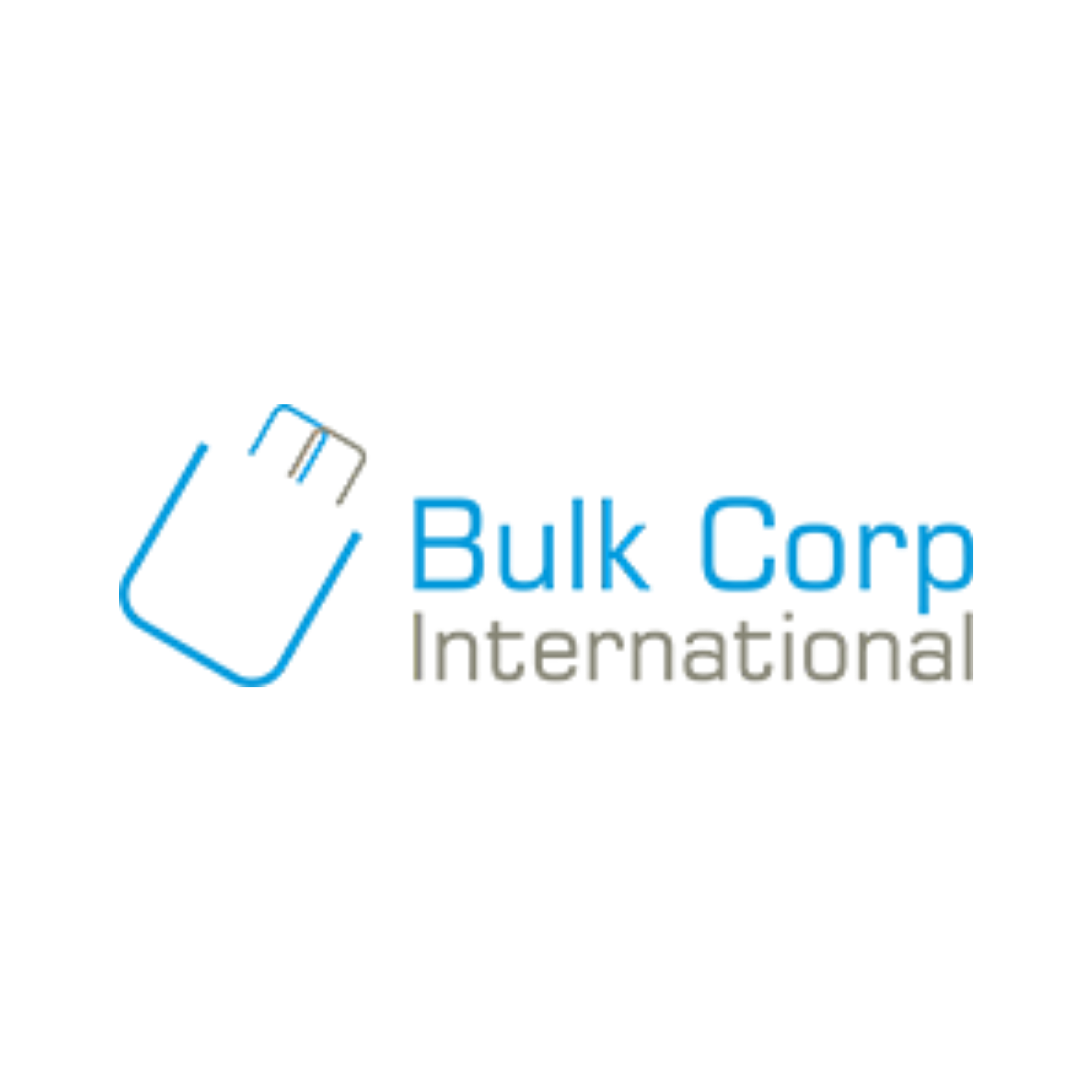 BulkCorp International