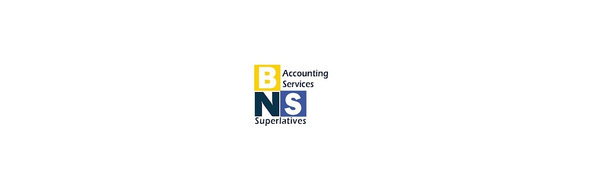 BNS Accounting  Services