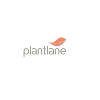 Plantlane Retail  Private Limited