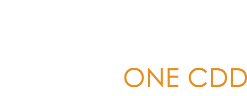 Aqua One Community Development District