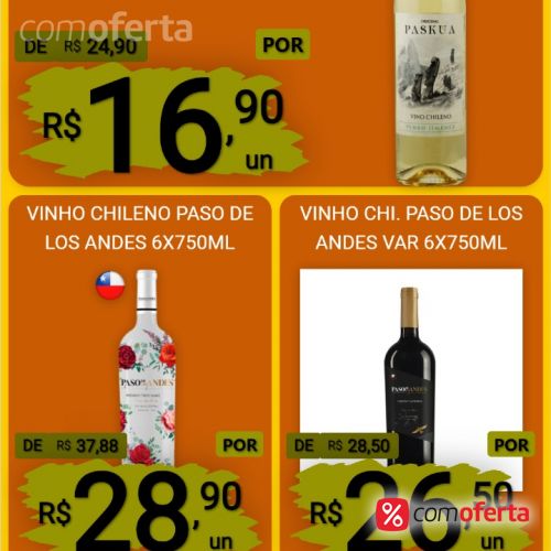 Vinho Chileno Paso De Los Andes 750ml