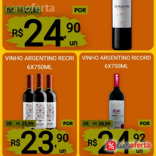 Vinho Argentino Benjamin Nieto 750ml