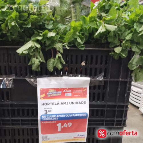 Hortelã Molho Unidade