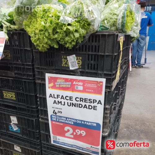 Alface Crespa Un