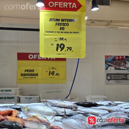 Peixe Atum Kg