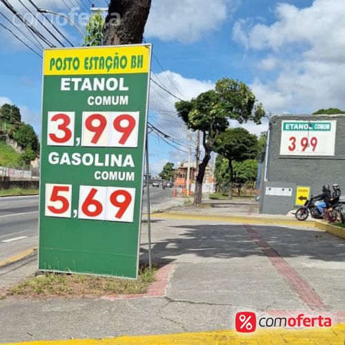 Gasolina
