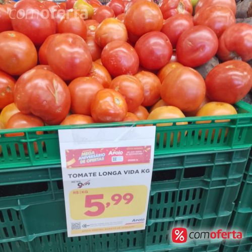Tomate Longa Vida Kg