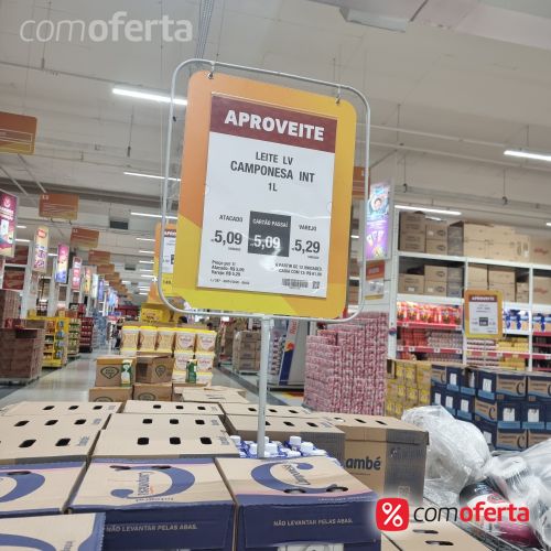 Leite Integral Camponesa 1 litro