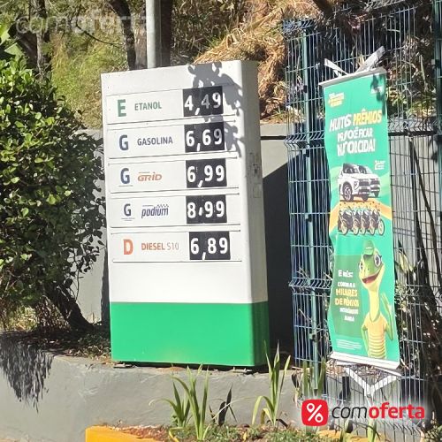 Gasolina