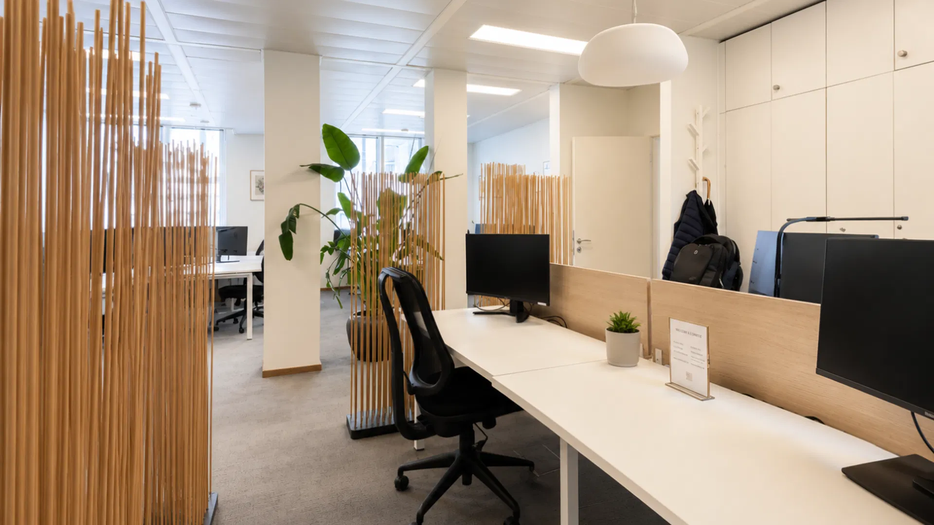 Flex Desk