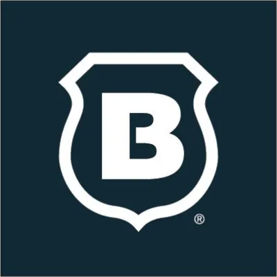 Brinks home security logo