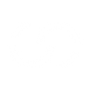 Capitole Consulting logo