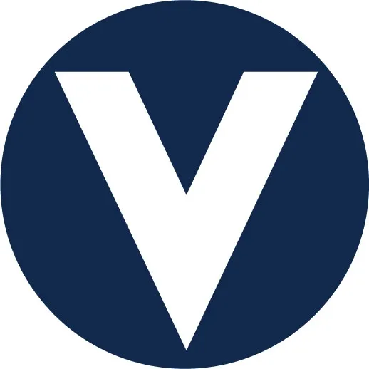 Team velocity logo
