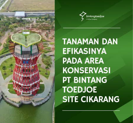 Plants and Their Efficacy in the Conservation Area of PT Bintang Toedjoe Site Cikarang
